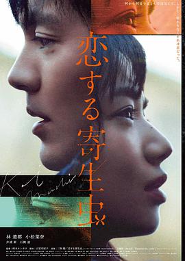 热门影视